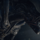 Alien: Isolation will get a sequel - developers announced a sequel to the cult horror game