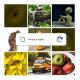 Are you sure you're not a robot? The new era of CAPTCHA is here - and here's why we've been "failing" these tests lately