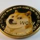 "Bullish" bets on Dogecoin hit record $1 billion - meme coin up 40%