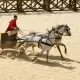 Chariot rally: archaeologists have discovered a racing arena from the time of ancient Spain