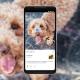 Google Lens launches video and voice search - in English only for now