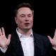 'Shot himself in the foot': which billionaires Elon Musk clashed with in 2024
