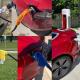 Tesla urges not to wrap a wet towel around the Supercharger charger