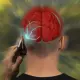 WHO debunks myth: cell phones don't cause brain cancer - new large-scale study