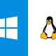 Windows Subsystem for Linux will get a graphical interface