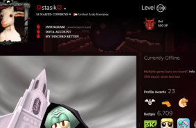 Gamer spent $500,000 to reach the highest account level on Steam