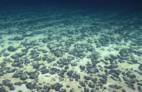 Researchers have discovered oxygen-producing "battery rocks" on the ocean floor
