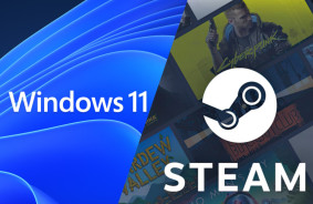 Steam in August: Windows 11 topped 50% for the first time, mobile RTX 4060 in second place, players move to 16GB