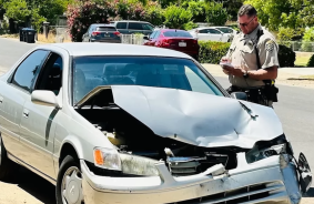 Tesla Cybertruck and Toyota Camry collided at low speed - pickup truck barely hurt, sedan very crumpled