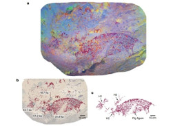 The oldest narrative rock art has been discovered - it is approximately 51,200 years old