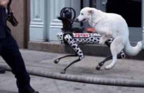 Photoshop has fooled everyone again: a viral photo of a dog copulating with a robotic Dalmatian turned out to be a fake