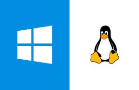 Windows Subsystem for Linux will get a graphical interface