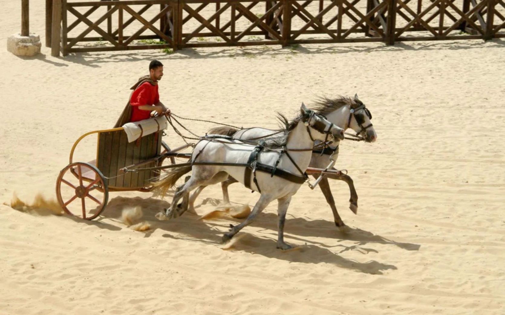 Chariot rally: archaeologists have discovered a racing arena from the time of ancient Spain