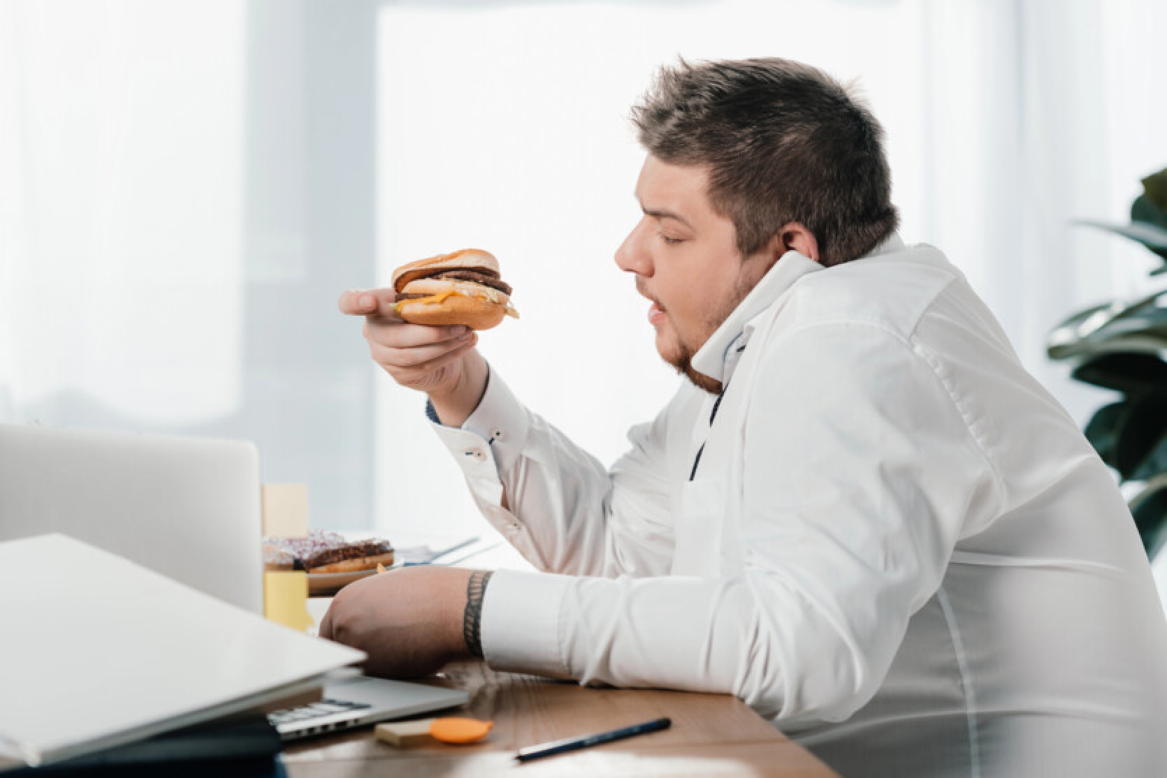 Everyone on an offline diet: researchers have found that high-speed internet 'makes' us fat