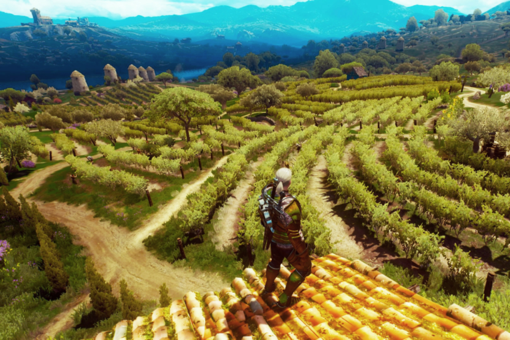 From beets to developing The Witcher 4 - how an Australian farmer got into gamemade