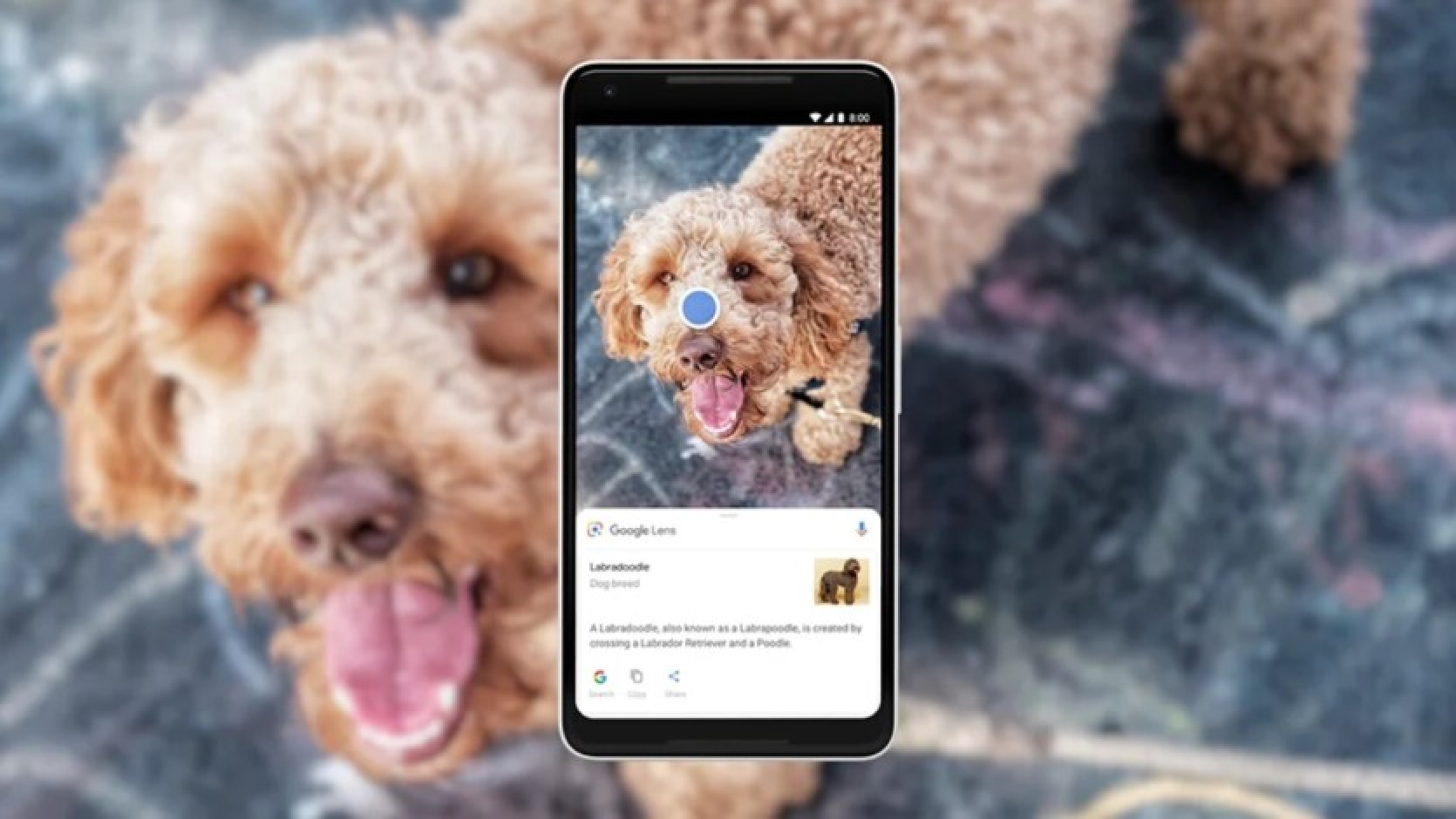 Google Lens launches video and voice search - in English only for now