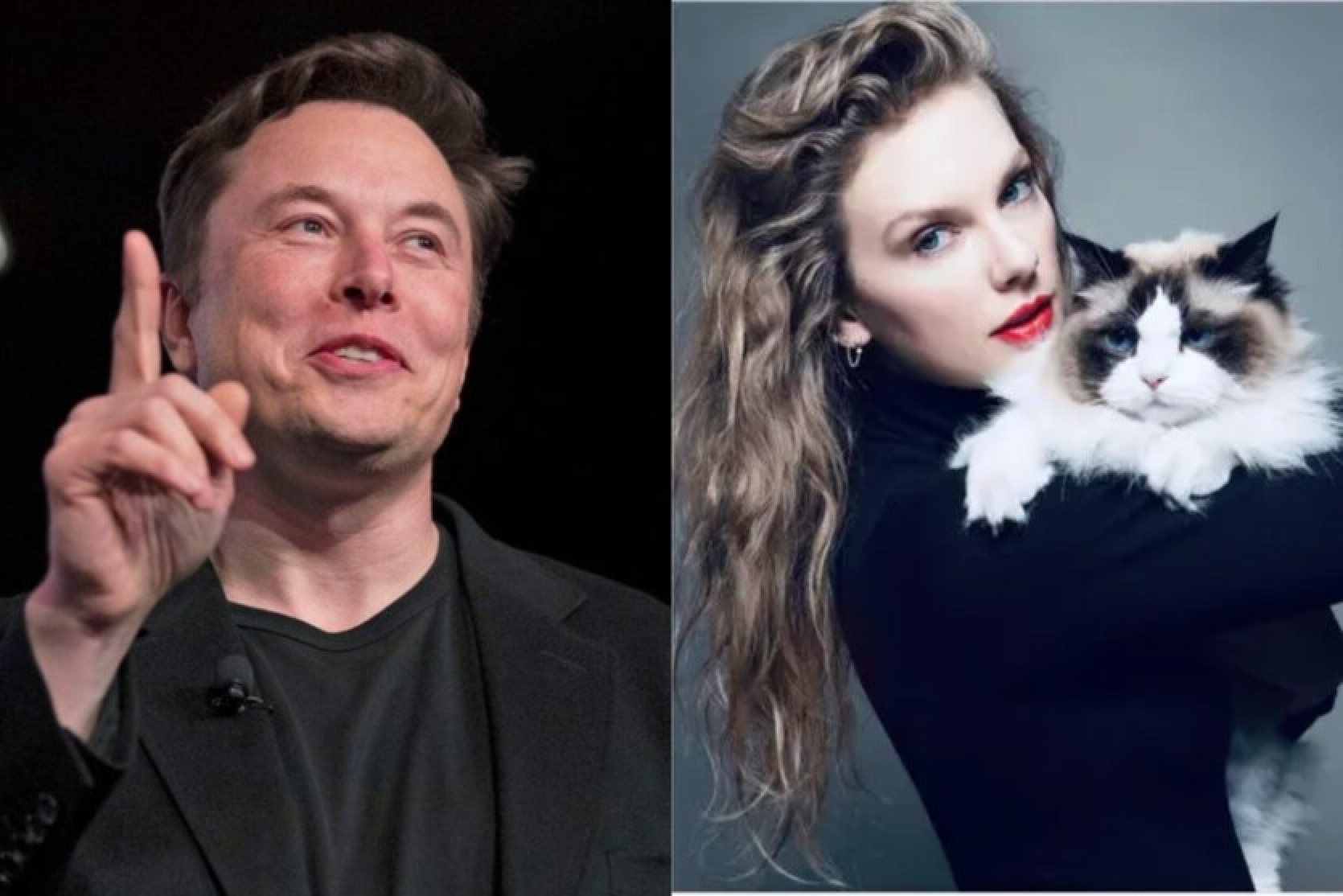 Ilon Musk has threatened to "impregnate" Taylor Swift - after the singer endorsed Kamala Harris