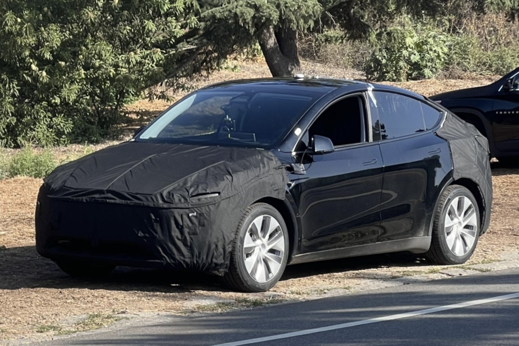 "Juniper" in the wild - a first look at the updated Tesla Model Y "Juniper"