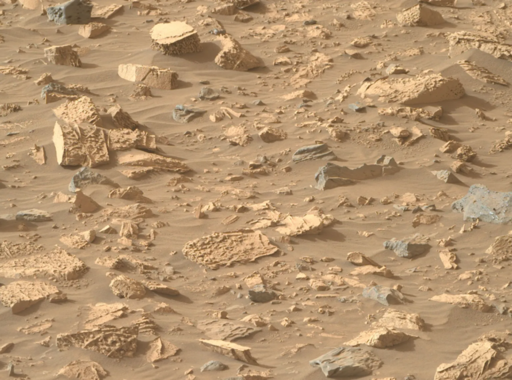 "Perserverance" has found mysterious "popcorn rocks" on Mars, evidence of powerful water flow in the past