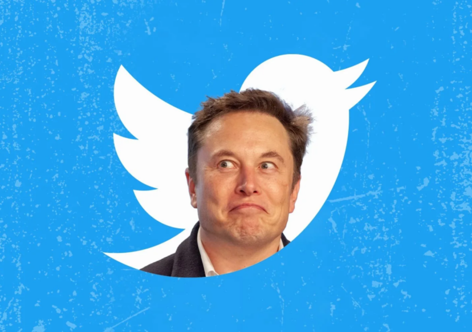 US regulator accuses Musk of trying to 'distort' Twitter takeover investigation