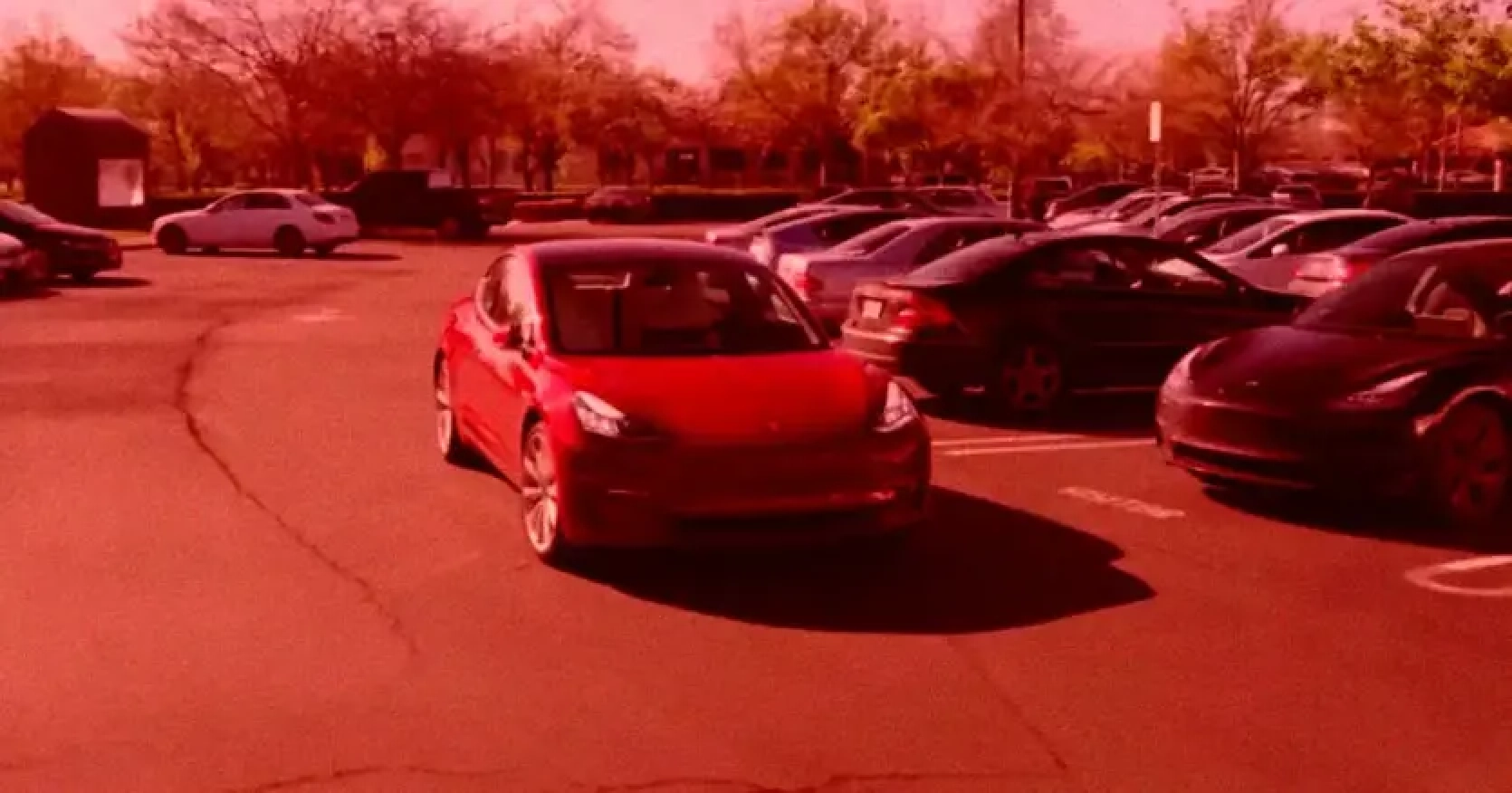 Unmanned Tesla Model Y rammed another car in supermarket parking lot - Summon feature led wrong way