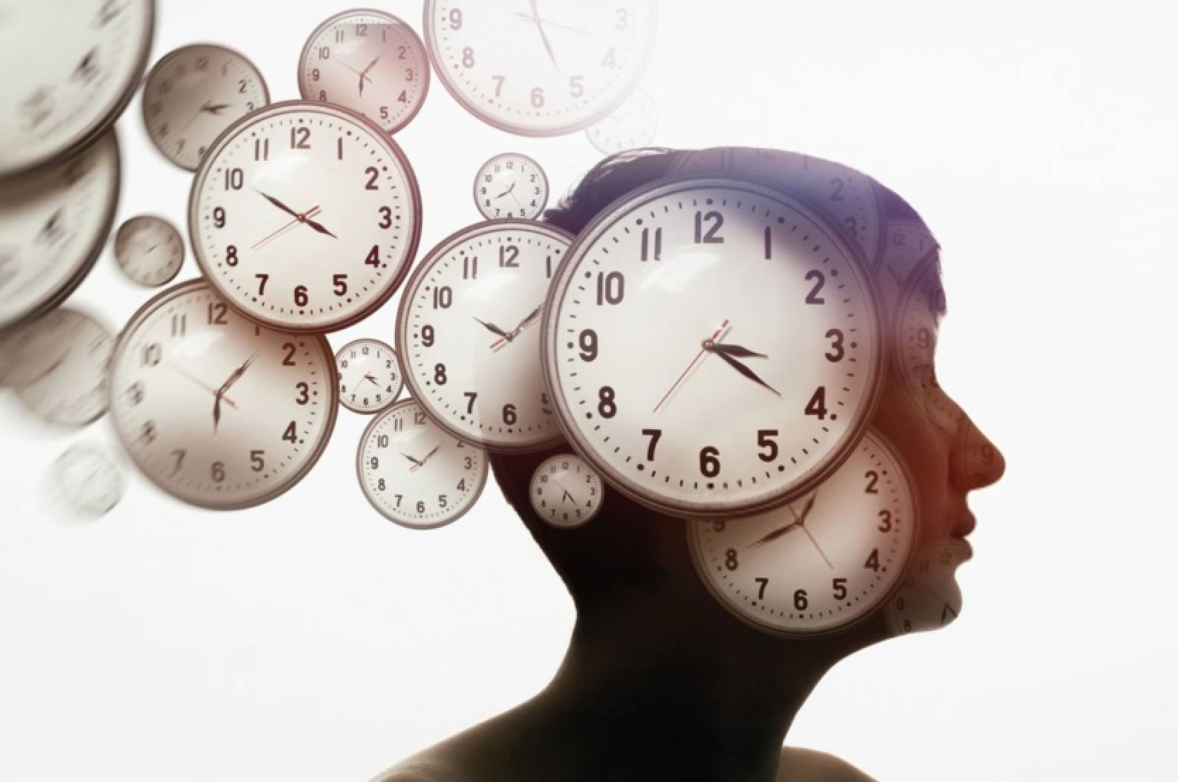 Why does time fly when we're busy? Scientists have unlocked the mystery of how the brain works